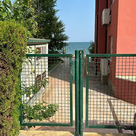 оазис