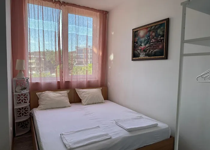 оазис رافدا